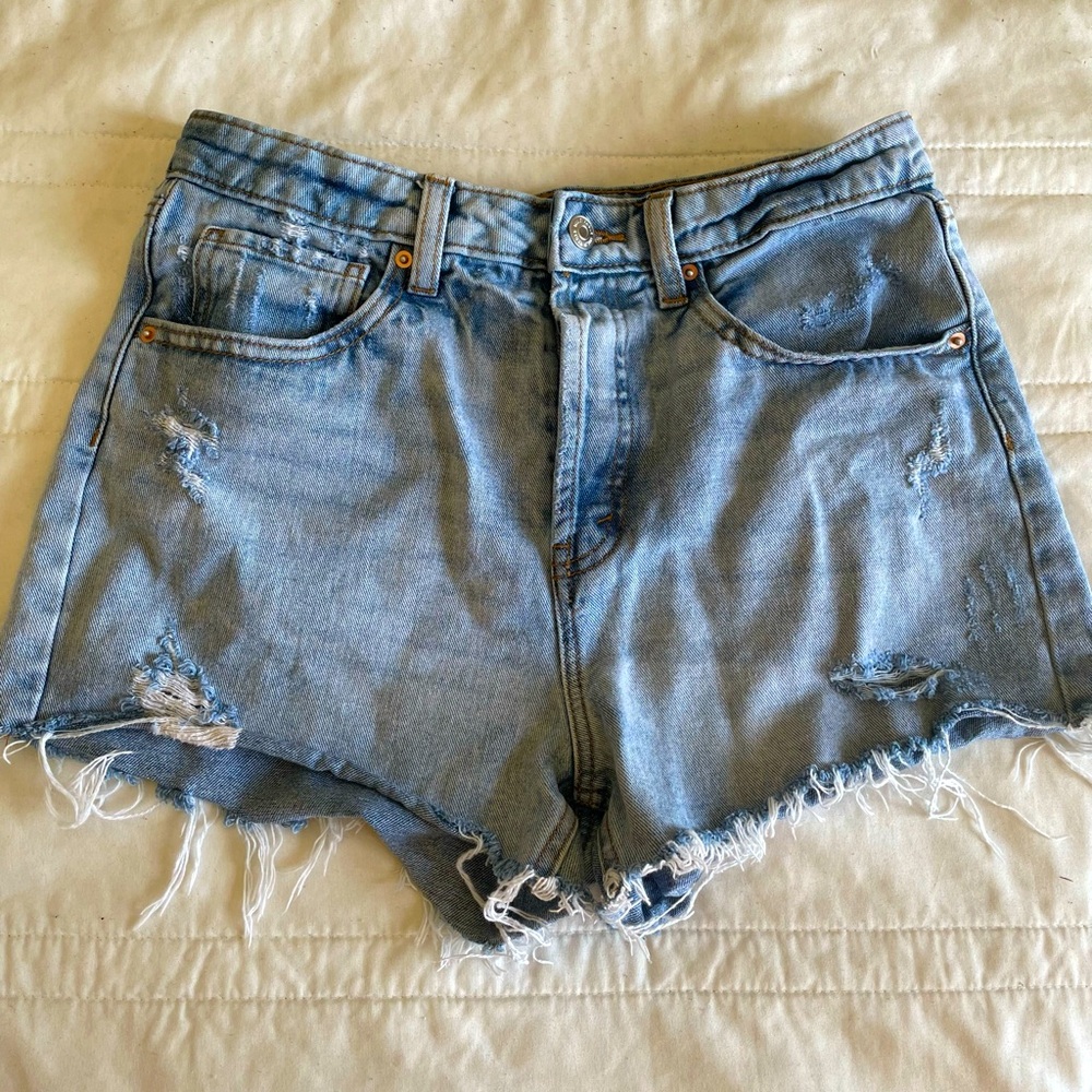 Wild fable shorts